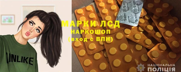 прущие грибы Михайловск