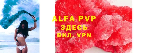 прущие грибы Михайловск