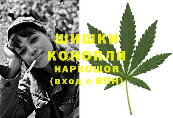 PSILOCYBIN Аркадак