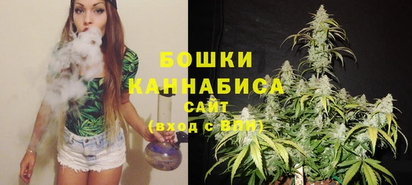 прущие грибы Михайловск