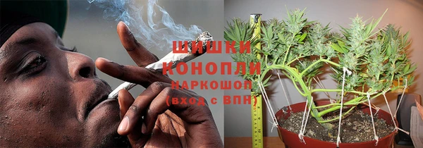 прущие грибы Михайловск