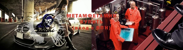 прущие грибы Михайловск