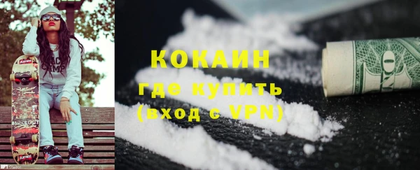 прущие грибы Михайловск