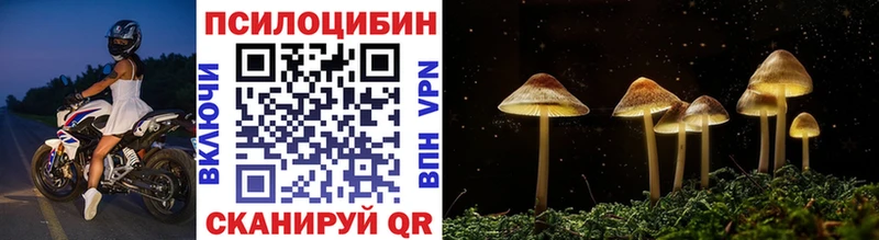 Галлюциногенные грибы мицелий  цены наркотик  Фатеж 