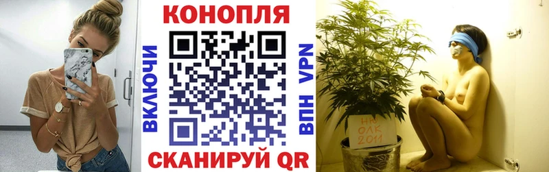Канабис OG Kush  Фатеж 